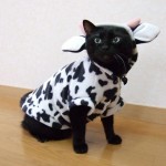 人生を変える