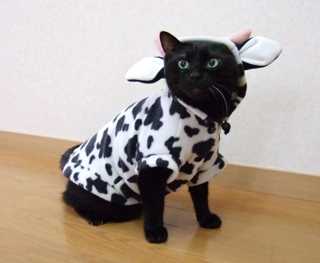 人生を変える