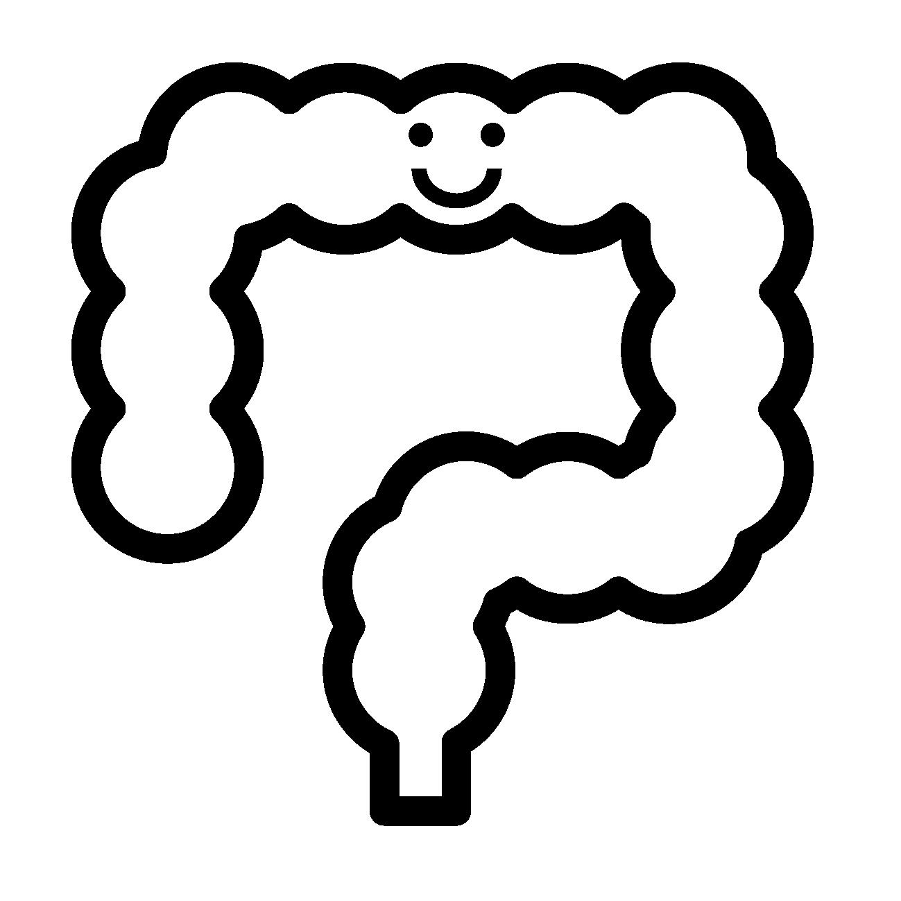 腸整える