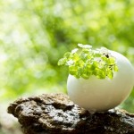命の栄養学