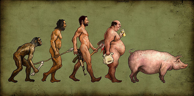 evolution