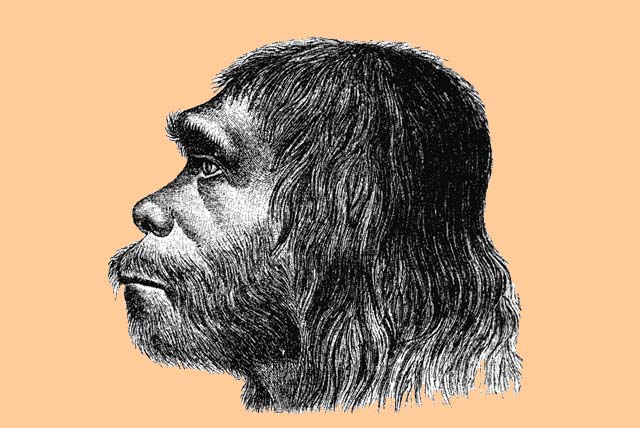 Neanderthal people