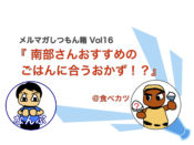 vol16